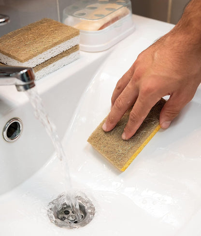 Natural Sponges for Dishes – Eco Friendly Sponges – Plant Based Compostable Sponge - Biodegradable Cellulose Sponges – Pack of 08 Walnut Scrubber Sponge – Odor Free and Non-Scratch