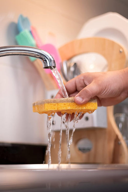 Natural Sponges for Dishes – Eco Friendly Sponges – Plant Based Compostable Sponge - Biodegradable Cellulose Sponges – Pack of 08 Walnut Scrubber Sponge – Odor Free and Non-Scratch